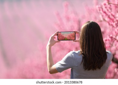 Back View Portrait Of A Woman Taking Photo Of A Landscape With A Smart Phone In Springtime In A Pink Flowered Field