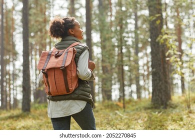 Back view portrait of young African-American woman with backpack enjoying hiking in forest lit by sunlight, copy space - Powered by Shutterstock