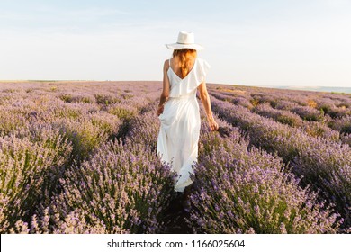 Back view of a pretty young girl in straw hat walking at the lavender field – Ảnh có sẵn