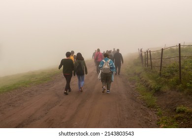 Back view of refugees walk to the border in a cold day under fog 