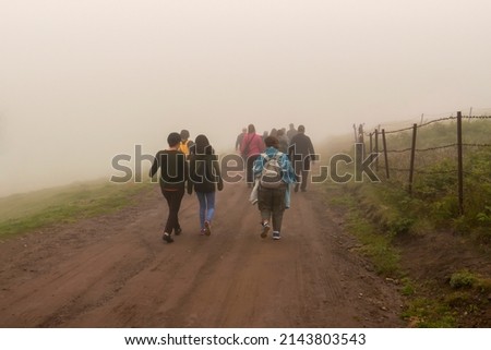Back view of refugees walk to the border in a cold day under fog 