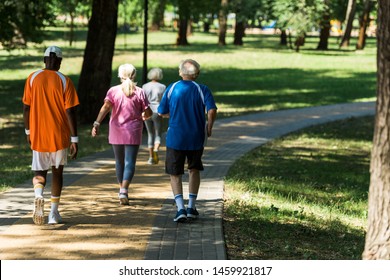 back view of retired multicultural pensioners in sportswear walking in walkway in park