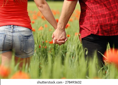 Back View Of A Romantic Couple Holding Hands In A Field With Red Flowers