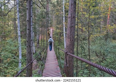 Back view of senior male hiker with backpack walking on suspension bridge in forest. Nature park Deer streams, Sverdlovsk region, Russia. Mental and physical wellbeing concept - Shutterstock ID 2242155121