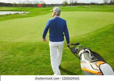 Back view of senior man walking down green field and carrying bag with bunch of golf clubs