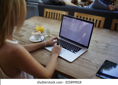 Back View Shot Of A Young Woman Sitting In Front Open Portable Laptop Computer With Blank Copy Space Screen, Female Freelancer Using Net-book For Distance Work During Morning Breakfast In Cafe Bar