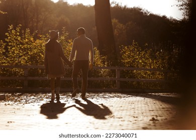 Back view of silhouette of a couple lovers walking holds hands in the park at sunset. Love, youth, happiness concept. Lovely romantic moment between young man and woman in love. Happy family - Powered by Shutterstock