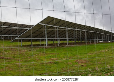 Back view of solar panels set at angle in green and brown autumn field behind wire fence under grey sky in rainy day in Portugal