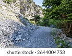 Back view of solitary trekker walking rocky streambed of Agali Gorge on Mt Dirfi, morning light beneath towering plane tree.
