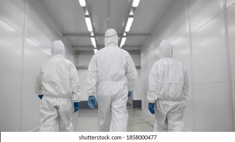 Back view of three disinfectors or doctors walk in protective uniform walking in hospital corridor. Scientists in biohazmat suits walking along chemical laboratory hallway