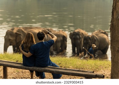 Back view tourist couples sitting on woodbench and watching group of Asian elephants bathing in river in Chiang Mai Thailand