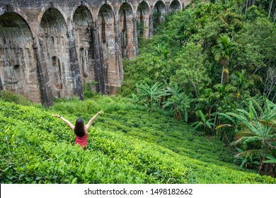 Back view of tourist woman visiting the Nine Arch Bridge a very picturesque spot in Ella, Sri Lanka. Ella is a mountain town in the Central Highland of Sri Lanka.