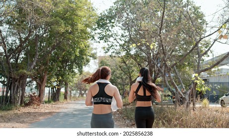 Back View Of Two Female Runner Jogging Outdoor Together In The Morning. Exercise Buddy And Healthy Lifestyle Concept