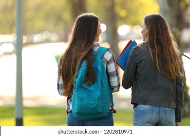 Back View Of Two Happy Students Walking And Talking In A University Campus