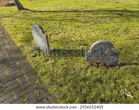 A back view of two old grave stones in the grass.