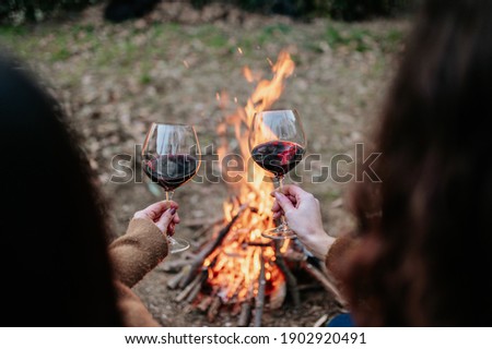 Back view two young women holding and tasting a glass of red wine. Warming next to fire.