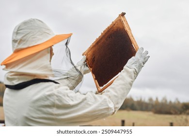 Back view of unrecognizable apiarist in protective suit inspecting hive frame holding honeycomb against grey autumn sky at apiary farm, copy space - Powered by Shutterstock