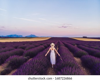 Back view of unrecognizable blonde in summer hat and white dress touching purple flowers while walking on lavender fields at France 