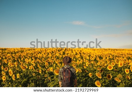 Similar – Image, Stock Photo Anonymous man admiring lush green trees in farmland