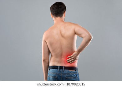 Back View Of Unrecognizable Topless Man Touching His Lower Back Zone Highlighted With Red, Suffering From Chronic Or Acute Kidney Disease, Grey Studio Background, Empty Space. Healthcare Concept