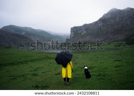 Similar – Image, Stock Photo Unrecognizable person exploring Picos de Europa at sunrise