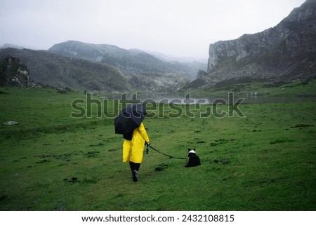 Similar – Image, Stock Photo Unrecognizable person exploring Picos de Europa at sunrise