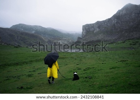 Similar – Image, Stock Photo Unrecognizable person exploring Picos de Europa at sunrise