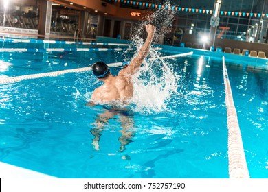 back view of winning swimmer gesturing in competition swimming pool  - Powered by Shutterstock