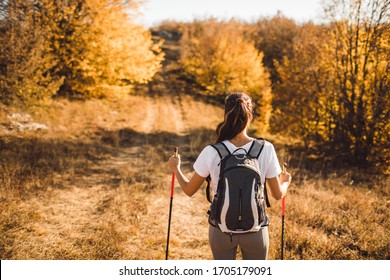Rückansicht der Frau mit Rucksack und Trekkingsticks. Nordic Walking. und Wandern. Herbstliche Natur und Weg vorwärts. Reisekonzept.