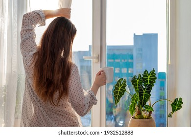 Back View Of A Woman In A Casual Shirt With Long Brown Hair With A Cup Of Tea Or Coffee Looking Out Of The Window, Pulling Back The Curtain. Lifestyle, Natural Sunbeam.