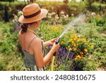 Back view of woman gardener in straw hat watering plants with hose pipe in summer garden setting water pressure. Taking care of flowers.