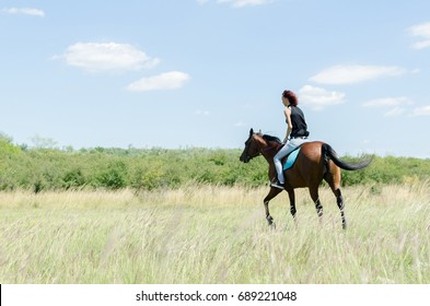 Riding him. Женщина на коне вид сзади. Девушка на лошади вид сзади. Дама на лошади вид сзади. Человек на лошади вид сзади.