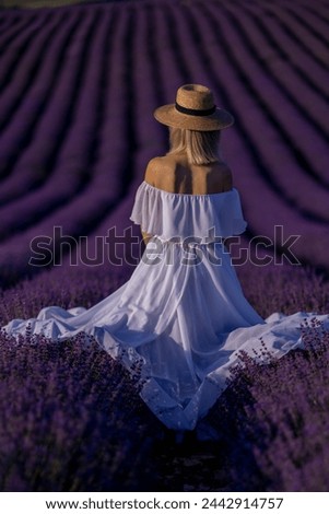 Similar – #A# Morning Sun Lavender 1