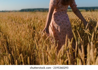 Back View Of A Woman Walking In The Middle Of The Rye In A Field With Outstretched Arms