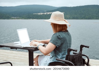 Back view of a woman in a wheelchair using a laptop in a cafe. Remote work, learning concept - Powered by Shutterstock