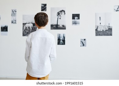 Back view at young boy looking at photos in modern art gallery, copy space