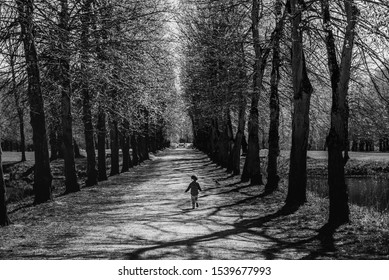 Back view of a young child running free on a boulevard with tall trees bears freedom, fun and liberty concept. A kid running free on an alley conveys carefree and childhood lighthearted feelings - Shutterstock ID 1539677993