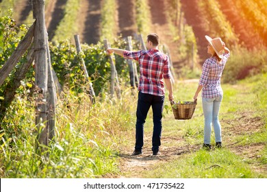 
Back view of young couple walking between rows of vines - Powered by Shutterstock