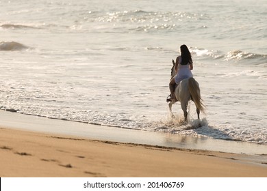 back view of young lady horse ride on the beach