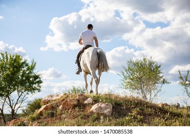 Back view of young male in casual outfit riding white horse on grassy meadow a sunny day