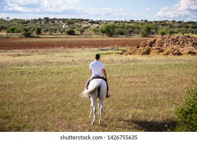 Back view of young male riding white horse in grassy meadow on cloudy day in countryside