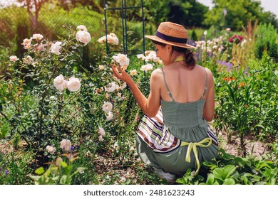 Back view of young woman gardener checking Crocus rose flowers in summer garden after taking care of shrub. Enjoying white blooms after deadheading - Powered by Shutterstock