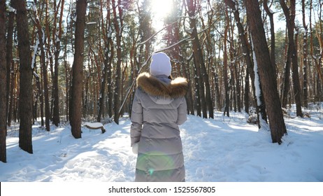 Back View Of Young Woman Walking In Sunny Winter Forest. Unrecognizable Girl Enjoying Stroll Through Snowy Wood. Carefree Lady Going And Admiring Beautiful Winter Landscapes. Winter Concept. Slow Mo