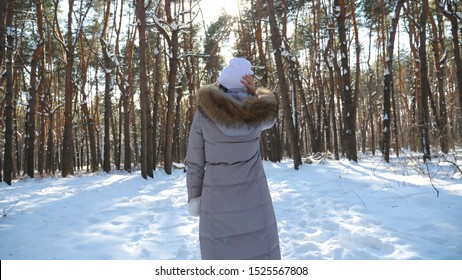 Back View Of Young Woman Walking In Sunny Winter Forest. Unrecognizable Girl Enjoying Stroll Through Snowy Wood. Carefree Lady Going And Admiring Beautiful Winter Landscapes. Winter Concept. Slow Mo