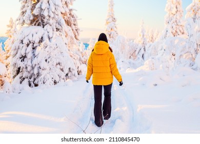 Back view of young woman walking in winter forest among snow covered trees in Lapland Finland