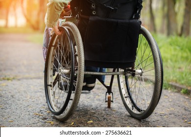 Back view of young woman in  wheelchair during walk in park  in sunny day