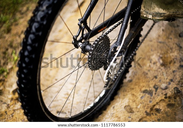 QR Bike-Parts 26" rueda trasera Rodi m 460 Disc alivio m435 centerlock 8-10 especializadas