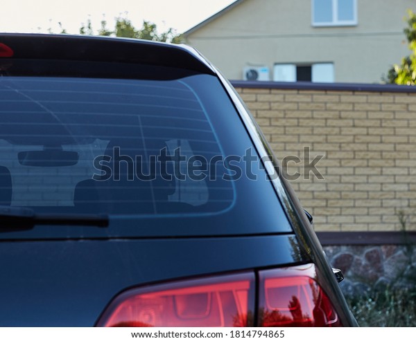 Back window of a car\
parked on the street in summer sunny day, rear view. Mock-up for\
sticker or decals