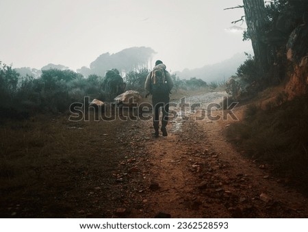Back, winter hiking and a man in nature for freedom, travel or adventure in the mountain wilderness. Forest, morning and overcast with a male backpacker on a dirt road in the woods for a hike