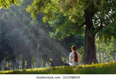 Back of woman relaxingly practicing meditation in the forest to attain happiness from inner peace wisdom serenity with beam of sun light for healthy mind wellbeing and wellness soul concept